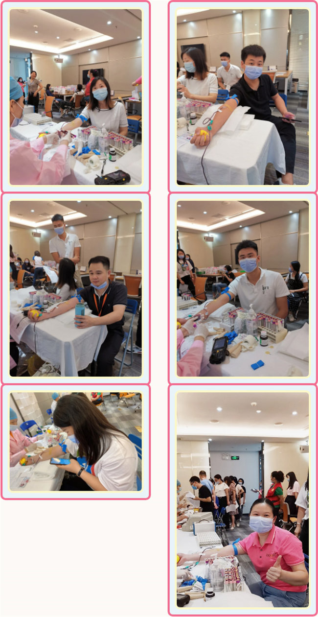 捐獻(xiàn)青春熱血，彩繪人生畫卷——廣東博皓總班委組織了一次“捐我熱血，呵護(hù)生命”的無償獻(xiàn)血公益活動    -3