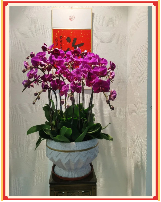 廣東博皓開工大吉丨金虎騰躍，兔來運轉(zhuǎn)           -23
