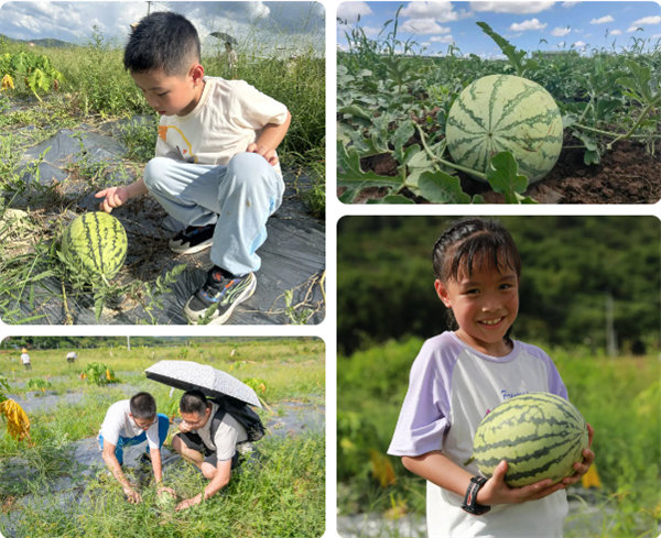 趣游盛夏，一路童行—2024年廣東博皓親子游   -12