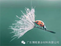 【博皓感悟】成功，要“借力”，不要“盡力”