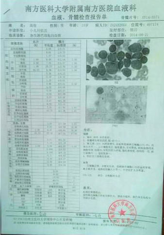 高俊的血液、骨髓檢查報(bào)告單